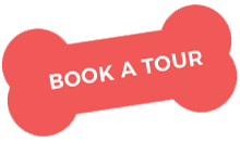 https://www.kritterkastle.com/wp-content/uploads/2019/08/book_a_tour.png