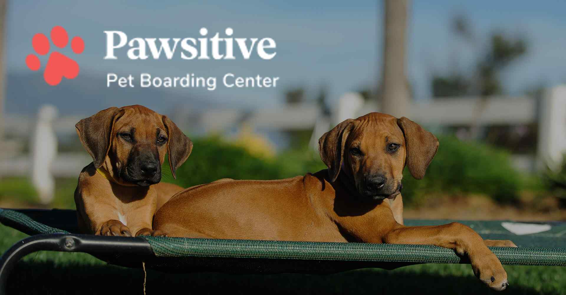 map_background https://www.kritterkastle.com/wp-content/uploads/2019/08/map_background.jpg