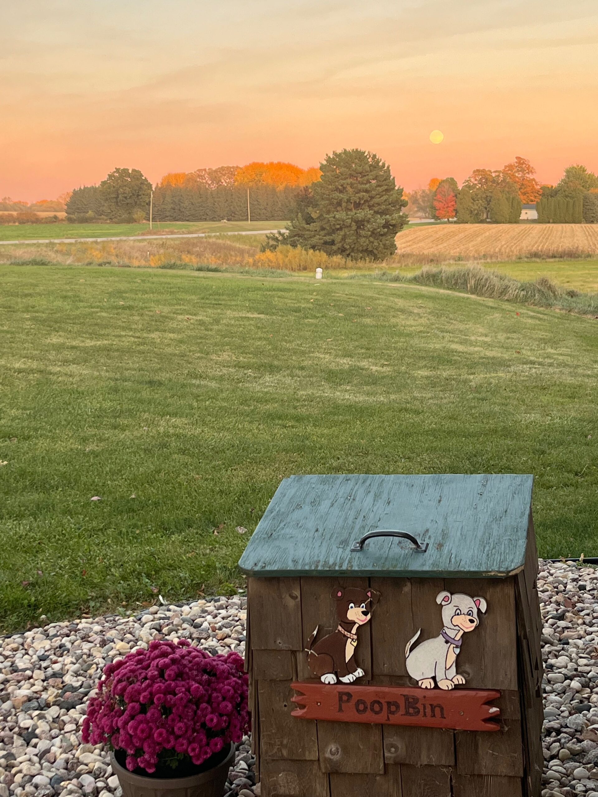 IMG_0194 https://www.kritterkastle.com/wp-content/uploads/2025/12/IMG_0194-scaled.jpg