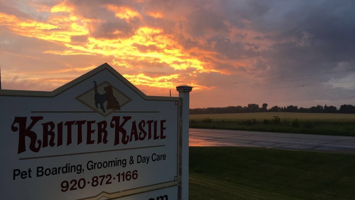 IMG_0347 https://www.kritterkastle.com/wp-content/uploads/2025/12/IMG_0347.jpg