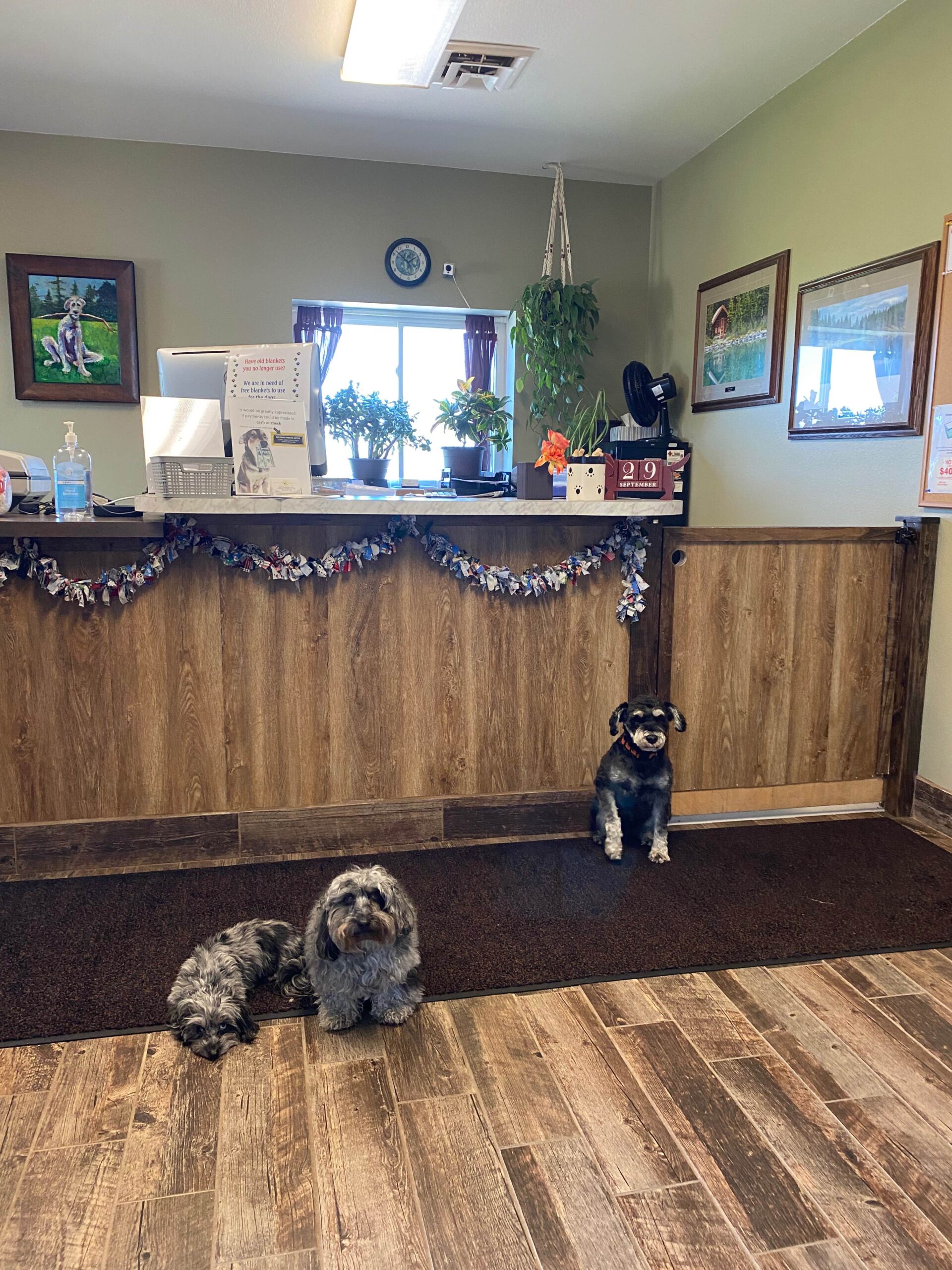 IMG_3225 https://www.kritterkastle.com/wp-content/uploads/2025/12/IMG_3225-scaled.jpg