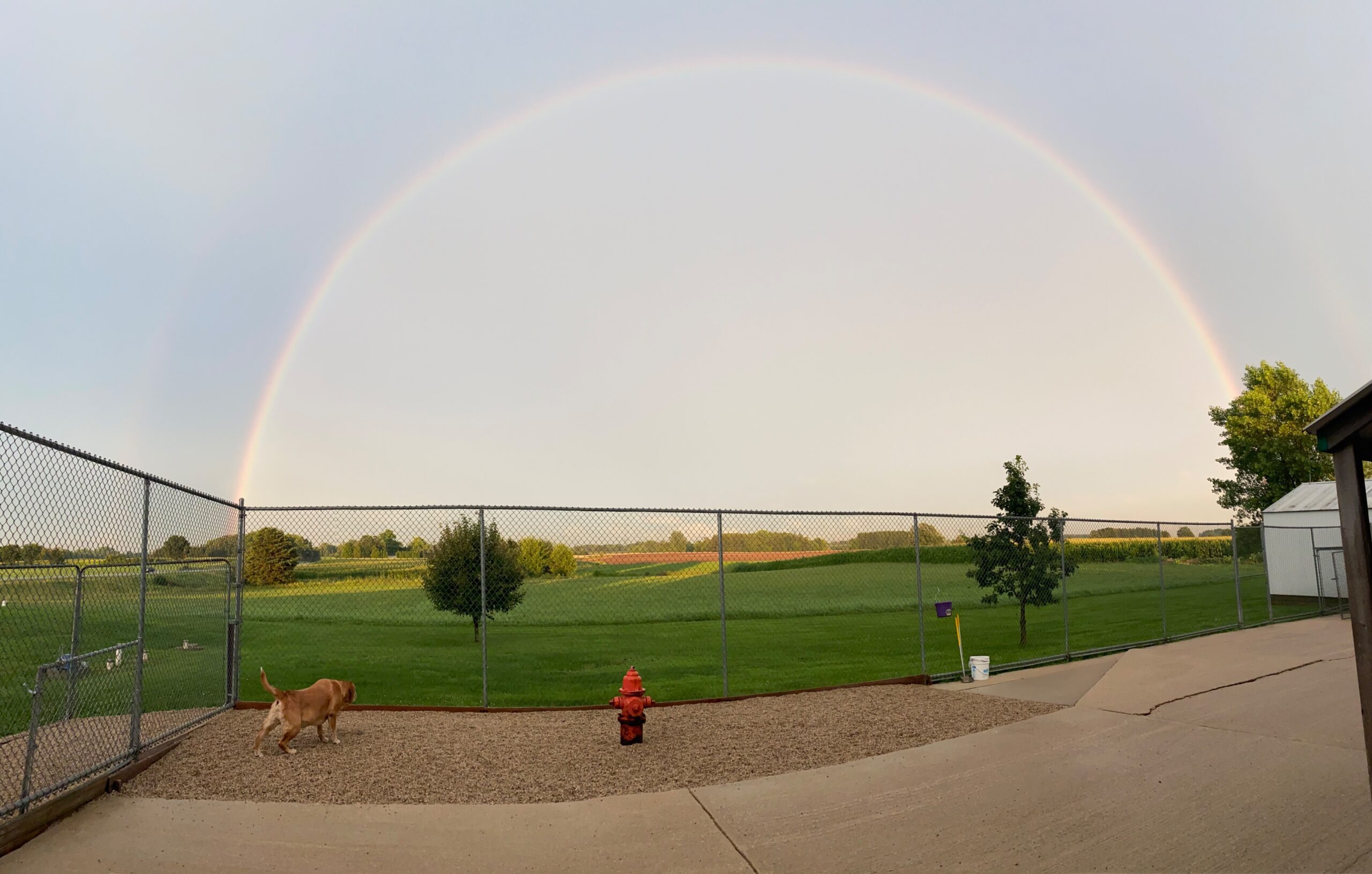 IMG_3848 https://www.kritterkastle.com/wp-content/uploads/2025/12/IMG_3848-scaled.jpg