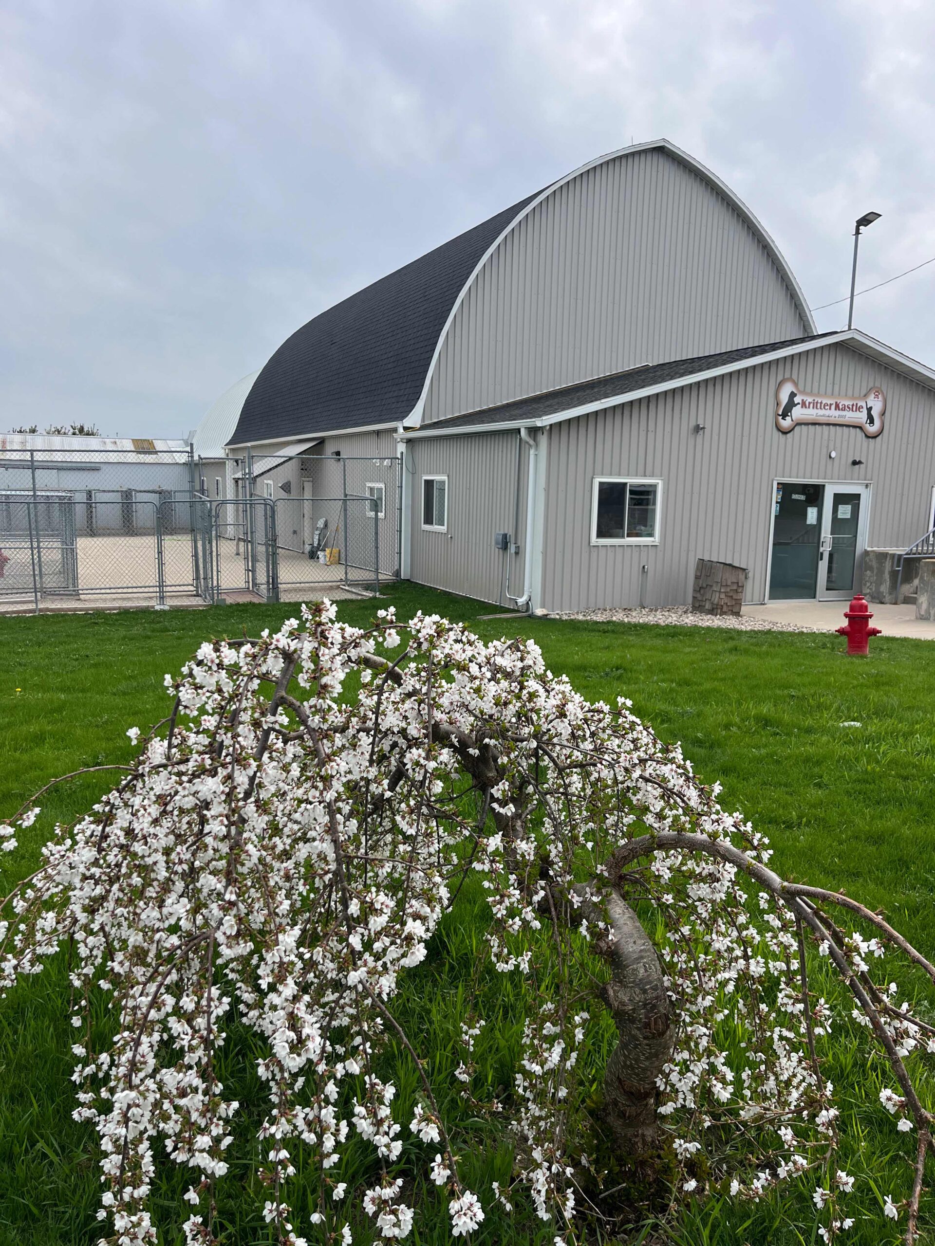 IMG_4486 https://www.kritterkastle.com/wp-content/uploads/2025/12/IMG_4486-scaled.jpg