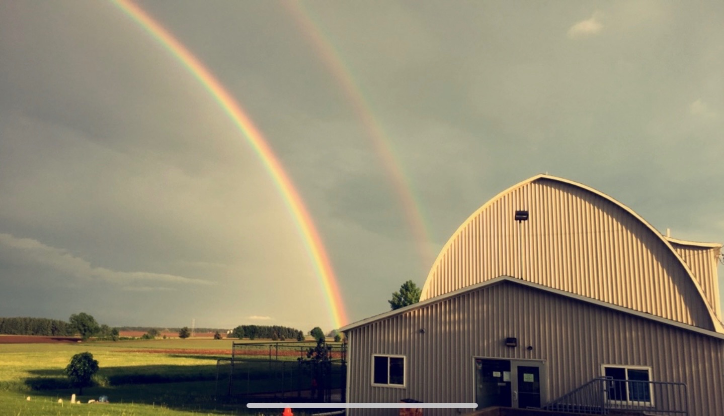 IMG_9092 https://www.kritterkastle.com/wp-content/uploads/2025/12/IMG_9092.jpg